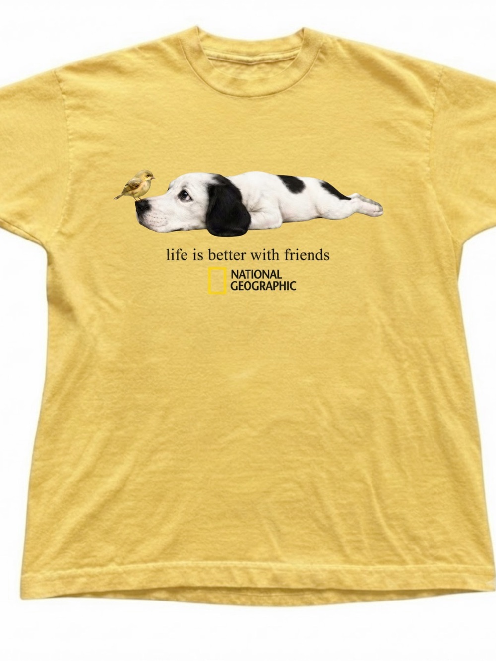 National Geographic Dog Bird Graphic Gildan T-Shirt Yellow Tee